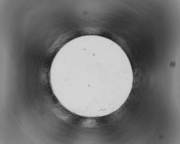 X0000115000162200911231212