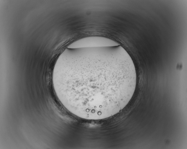 X0000115000165200911231212