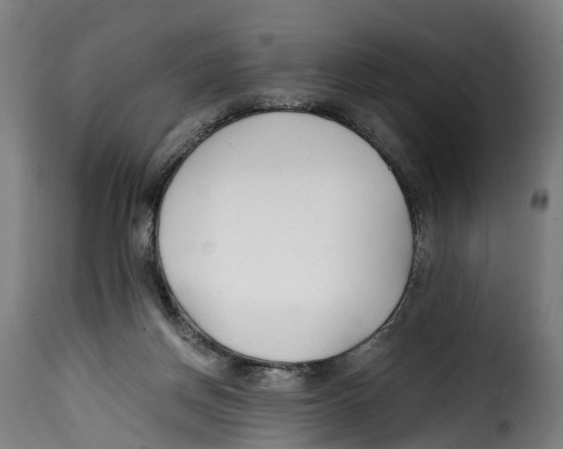 X0000115000166200911231212