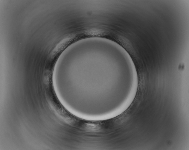 X0000115000167200911231213