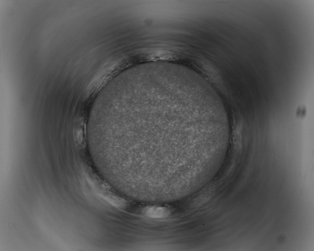 X0000115000169200911231213