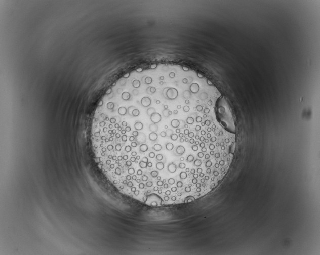 X0000115000171200911231213