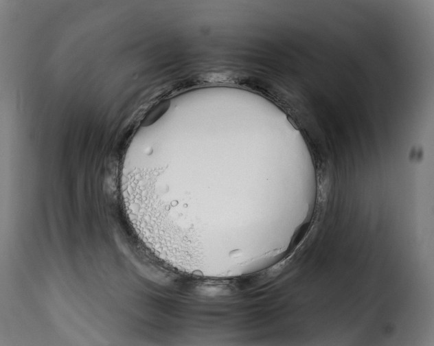 X0000115000175200911231213