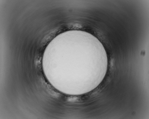 X0000115000177200911231213