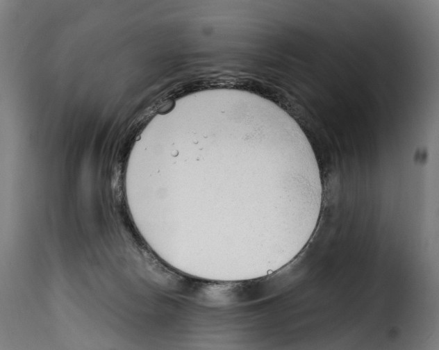 X0000115000178200911231213