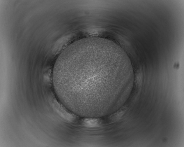 X0000115000181200911231213