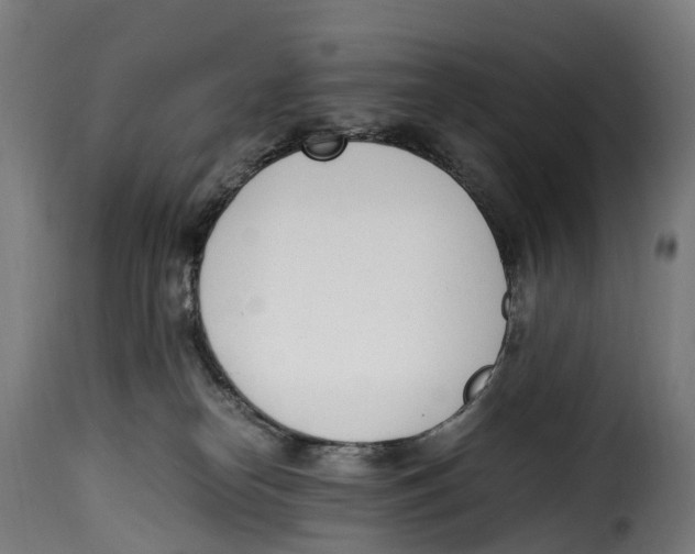 X0000115000182200911231213