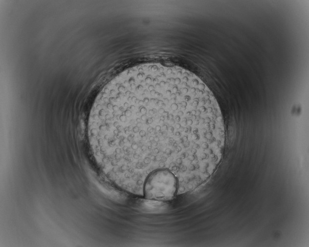 X0000115000183200911231213