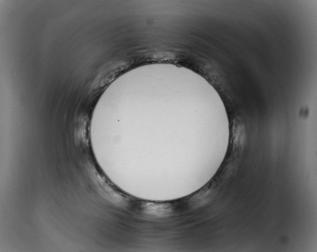 X0000115000185200911231213