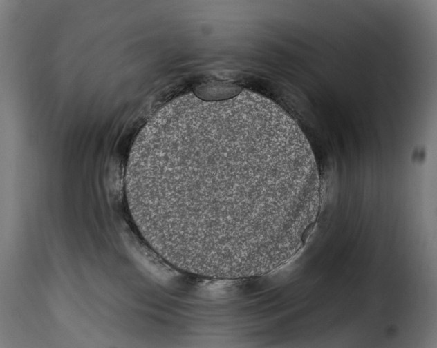 X0000115000186200911231213