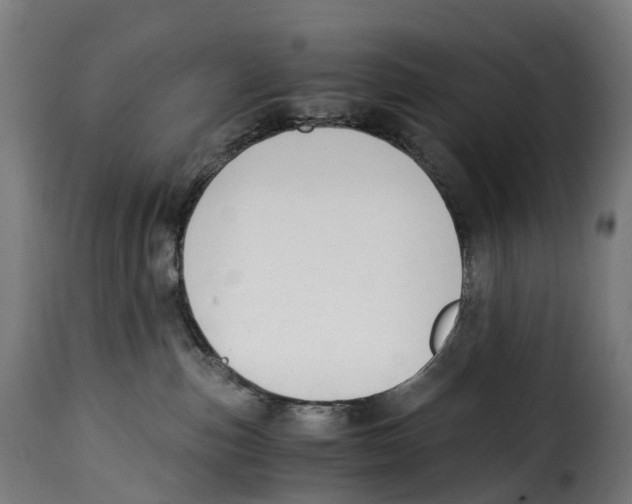 X0000115000187200911231213