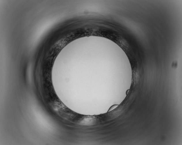 X0000115000189200911231213