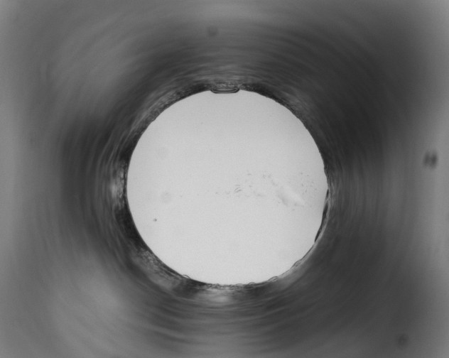 X0000115000190200911231213