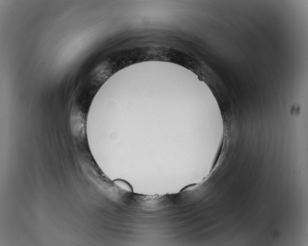 X0000115000191200911231213