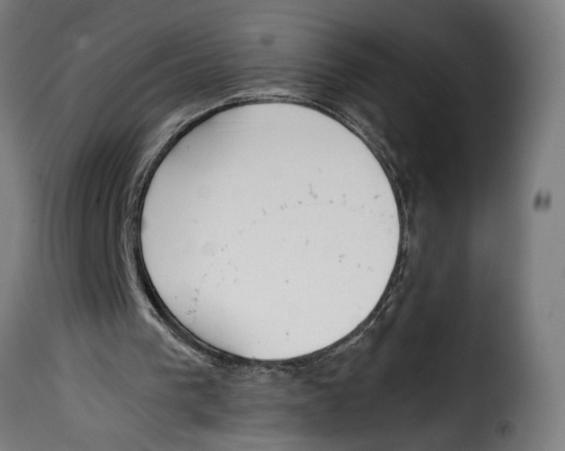 X0000115000193200911231212