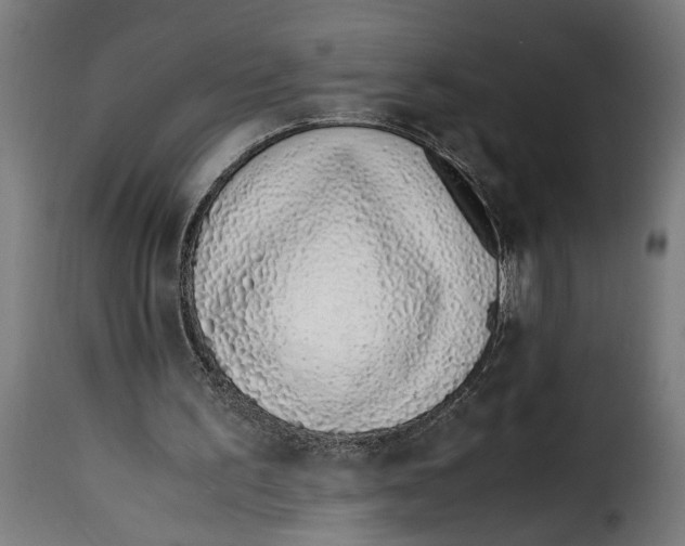 X0000115000195200911231212