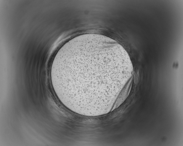 X0000115000198200911231212