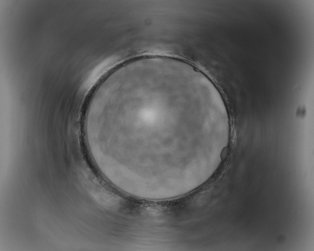 X0000115000199200911231212