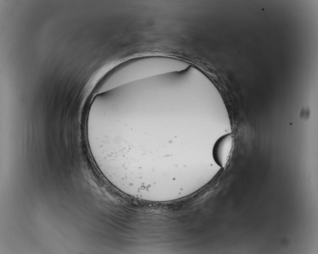 X0000115000200200911231212