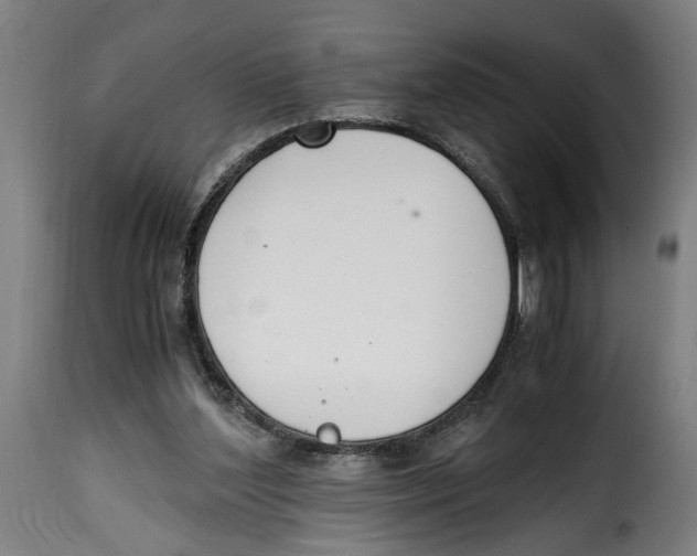 X0000115000204200911231212