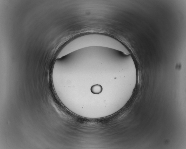 X0000115000205200911231212