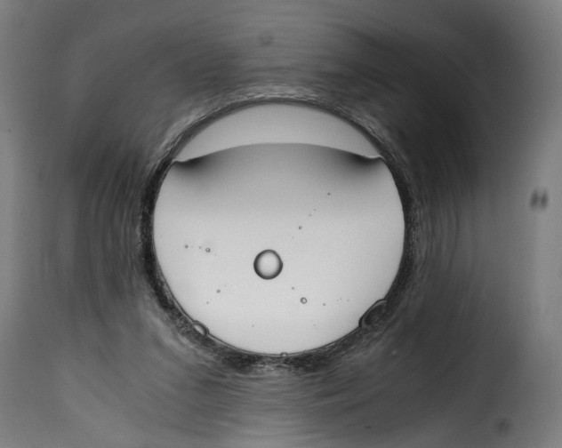 X0000115000207200911231212