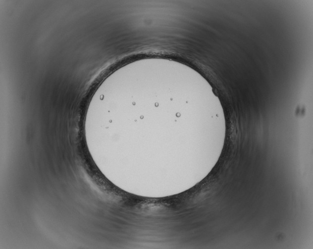 X0000115000208200911231212