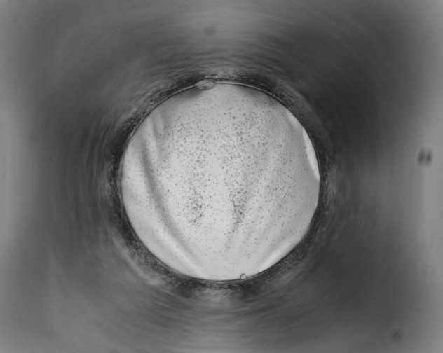 X0000115000209200911231212