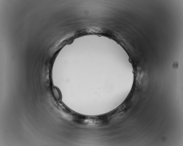 X0000115000211200911231212