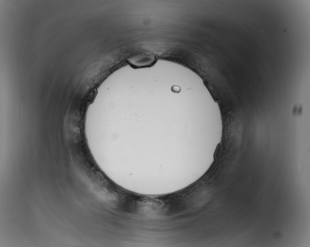 X0000115000215200911231212