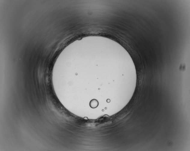 X0000115000216200911231212