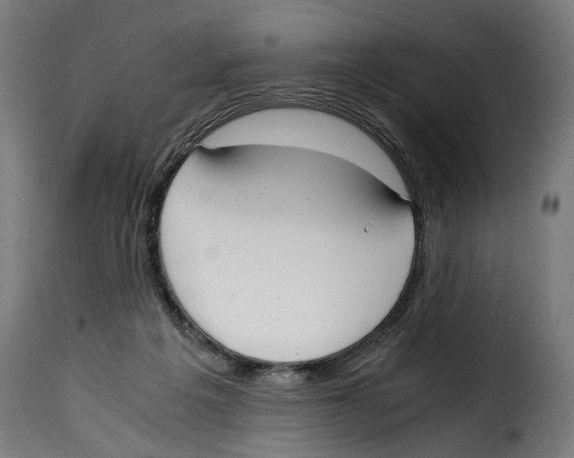 X0000115000217200911231212