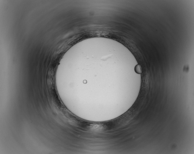 X0000115000218200911231212