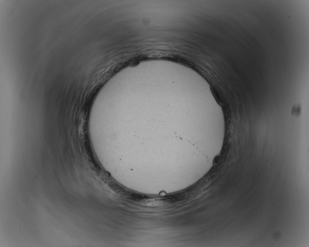 X0000115000219200911231212