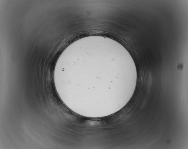 X0000115000220200911231212