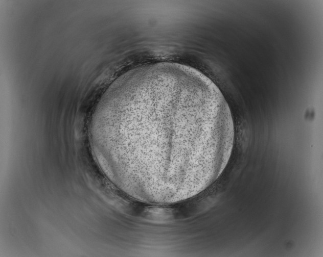 X0000115000221200911231212