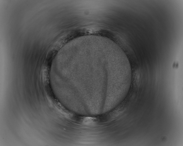 X0000115000222200911231212