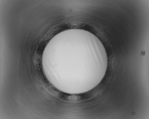 X0000115000225200911231212