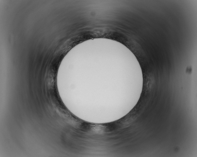 X0000115000226200911231212