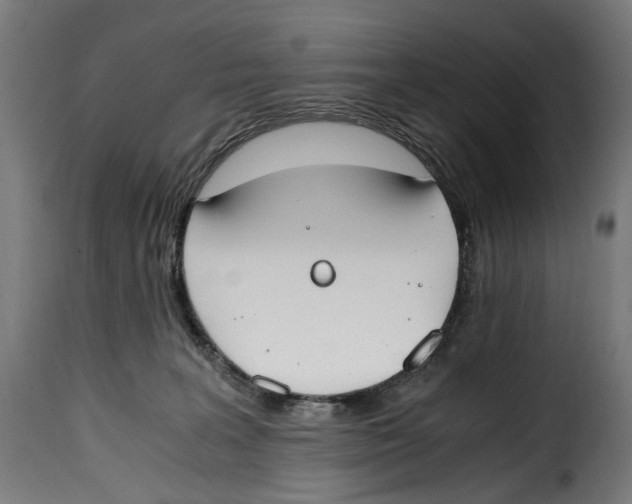 X0000115000227200911231212