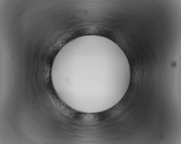 X0000115000230200911231212