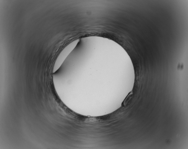 X0000115000231200911231211