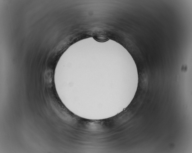 X0000115000232200911231211