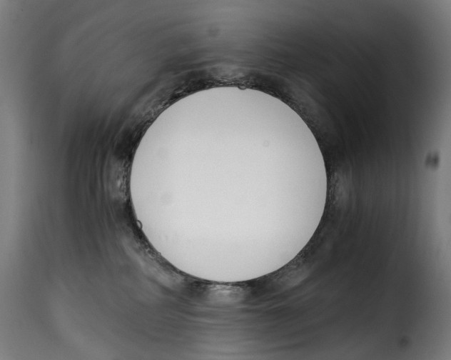 X0000115000234200911231211