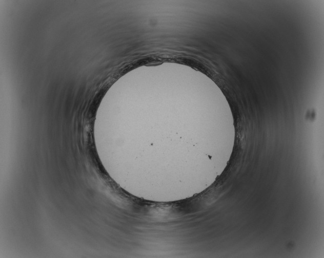 X0000115000235200911231211