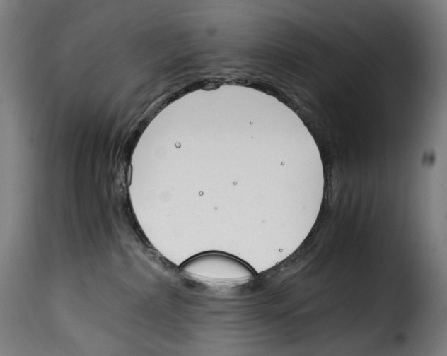 X0000115000236200911231211