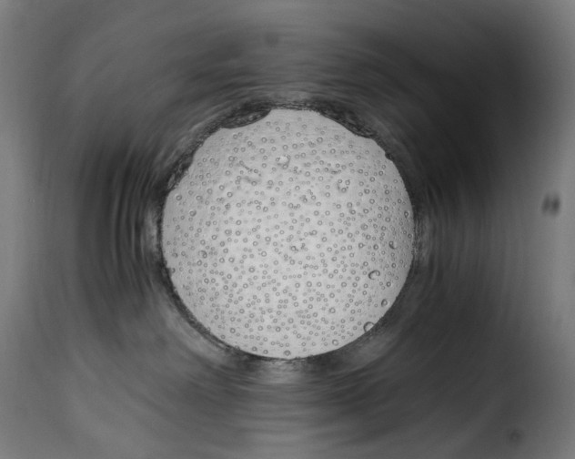 X0000115000238200911231211