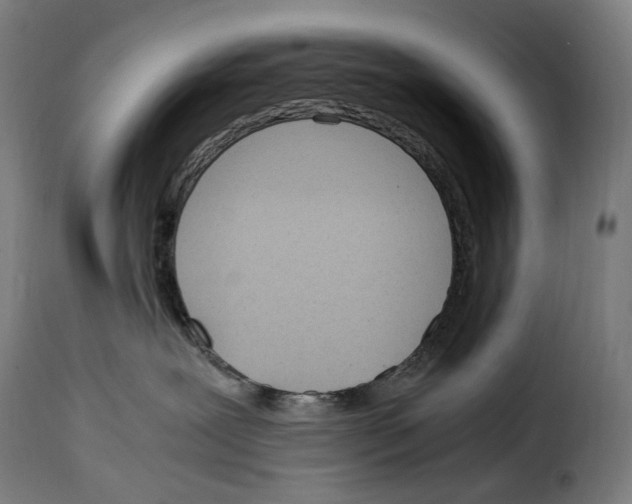 X0000115000239200911231211