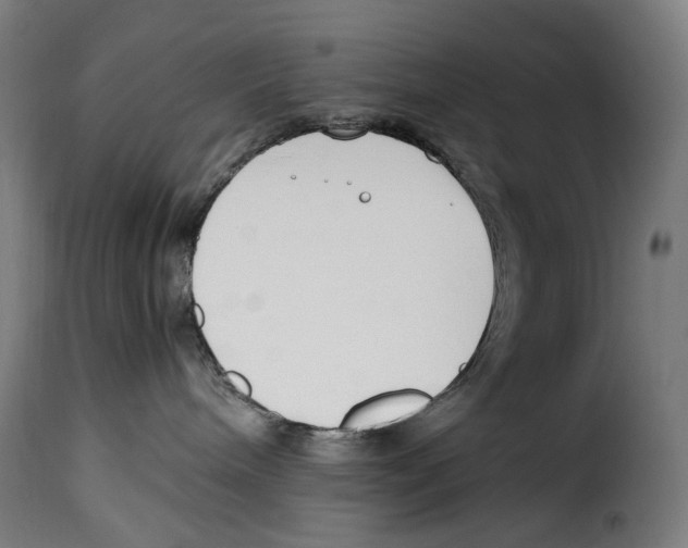 X0000115000240200911231211