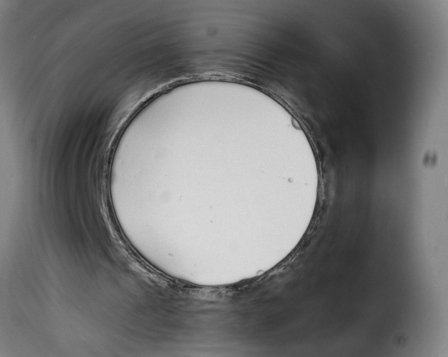 X0000115000241200911231211